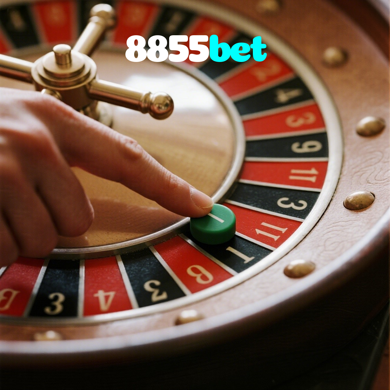 8855bet visual