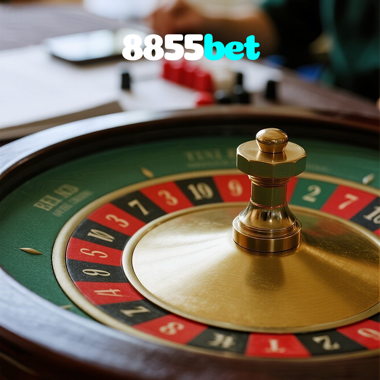 8855bet visual