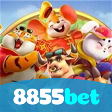8855bet visual