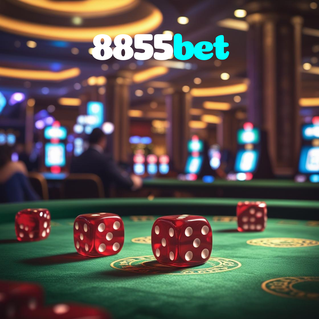8855bet visual